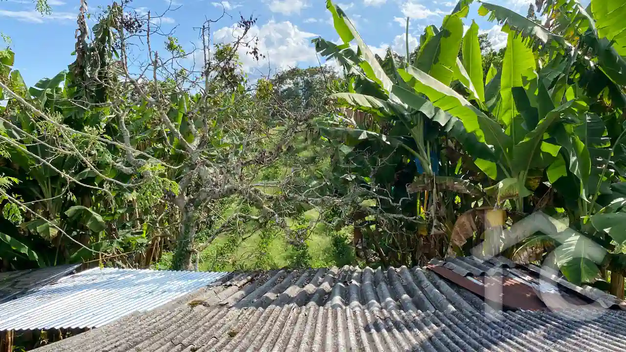 Finca Agrícola La Galaxia